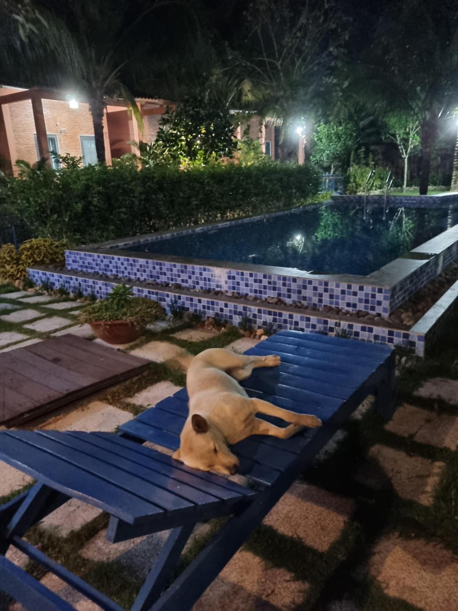 Anan Boutique Bungalows With Private Kitchen フーコック エクステリア 写真