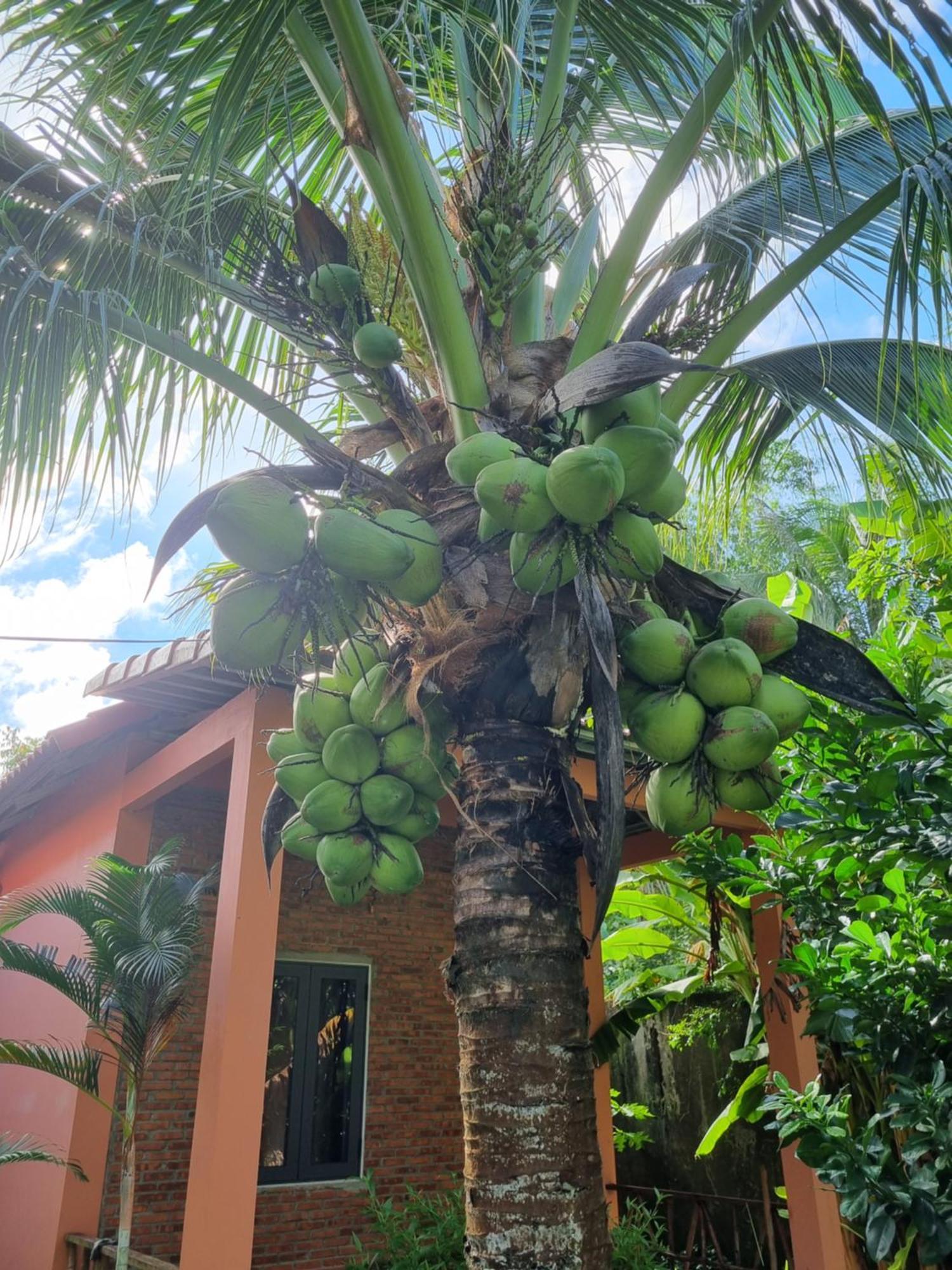 Anan Boutique Bungalows With Private Kitchen フーコック エクステリア 写真
