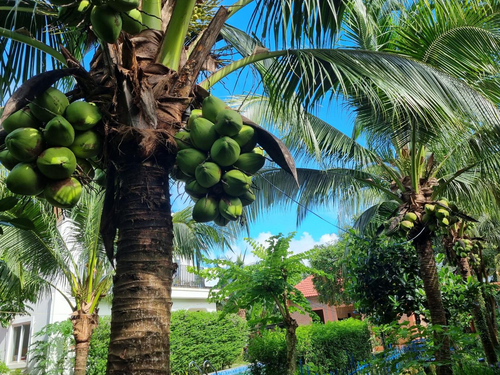Anan Boutique Bungalows With Private Kitchen フーコック エクステリア 写真